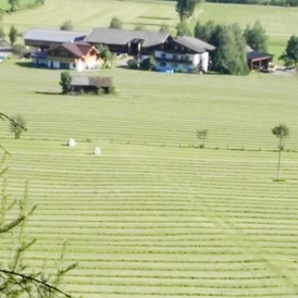 Ferien Bauernhof: Heuernte Sommer - Schnell Palfengut