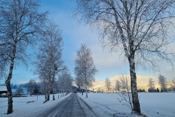 Ferien Bauernhof: Winter - Schnell Palfengut