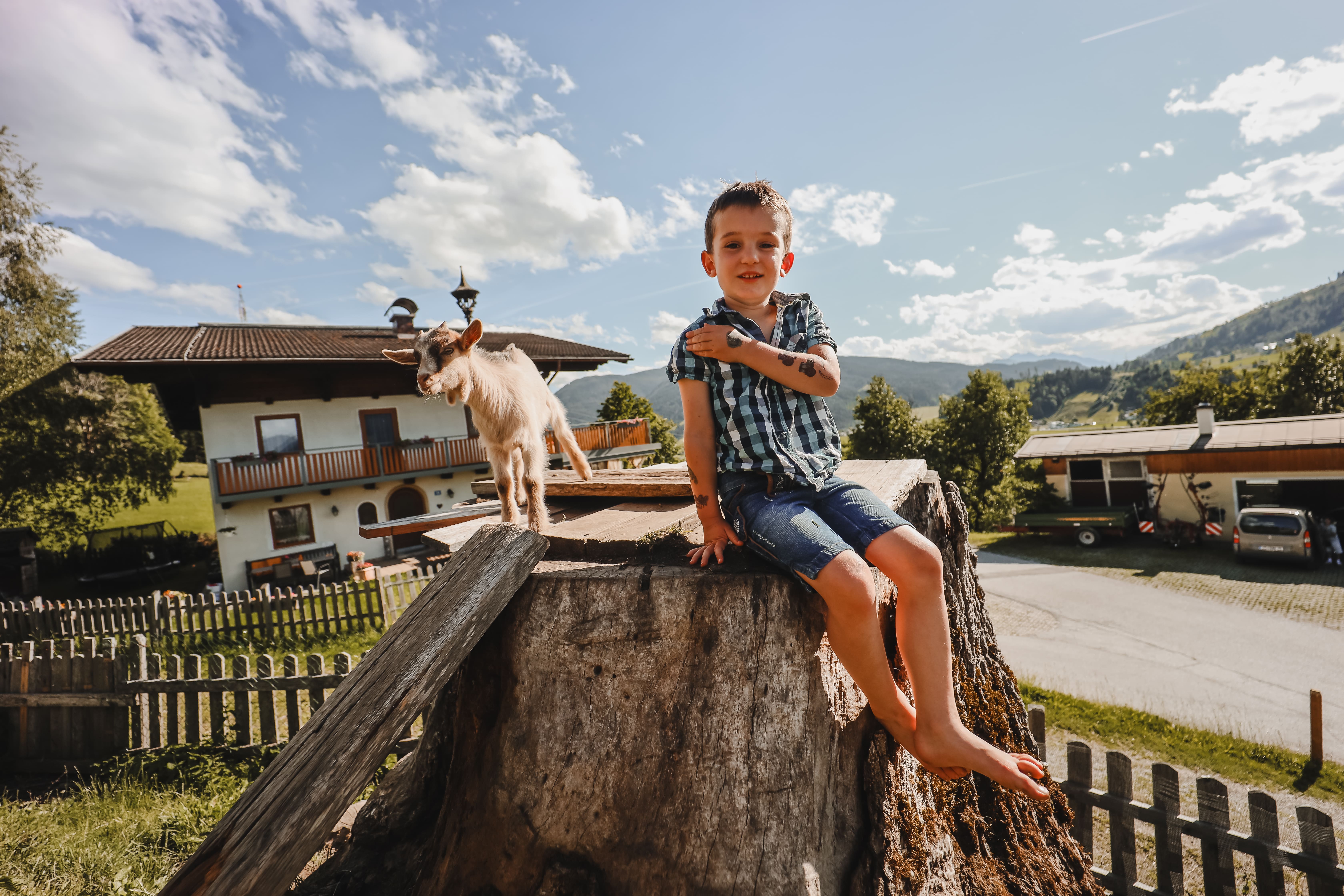 Ferien Bauernhof: Steinerbauer - Urlaub am Biokinderbauernhof - Außenbereich, Bauernhof