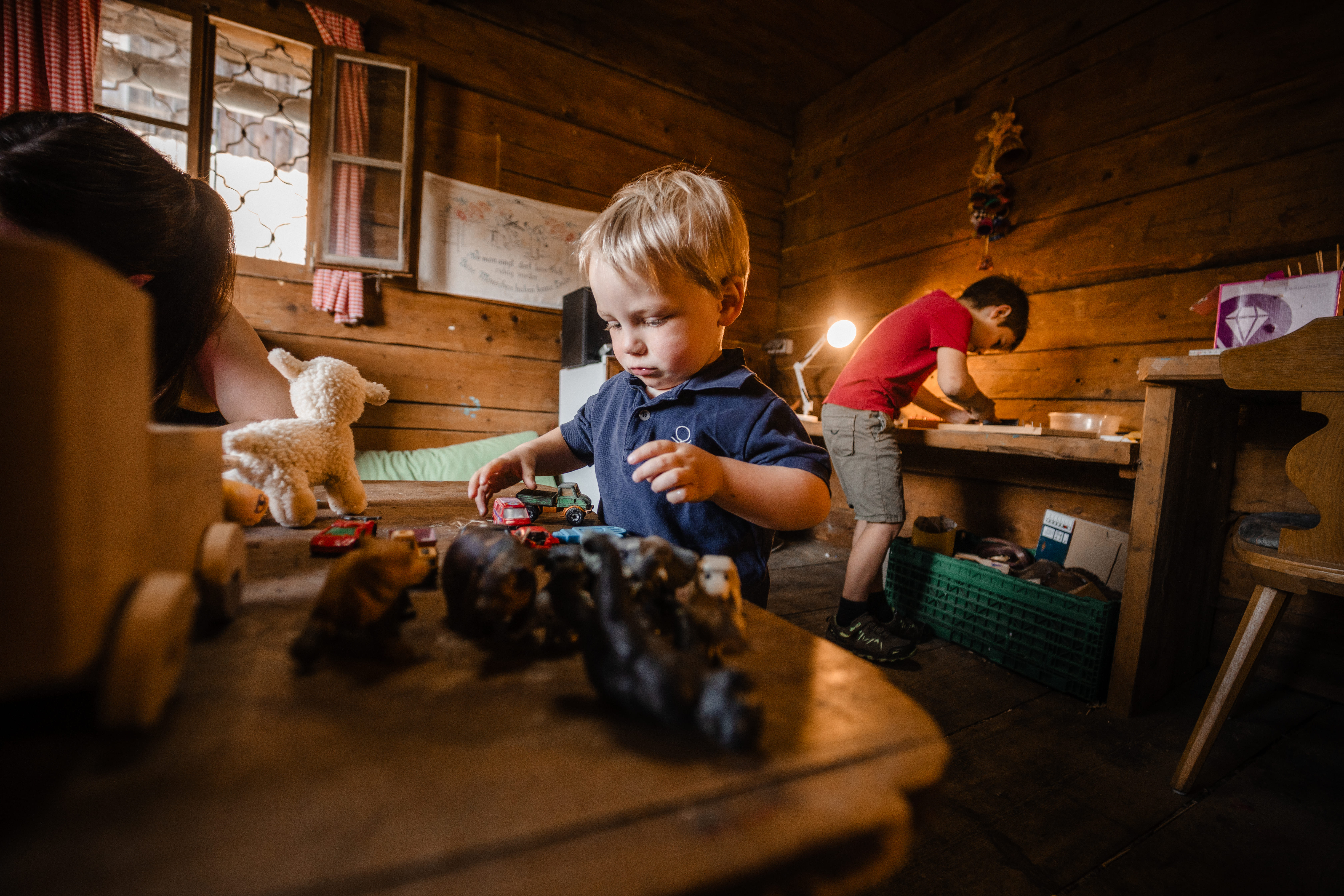 Ferien Bauernhof: Steinerbauer - Urlaub am Biokinderbauernhof - Außenbereich