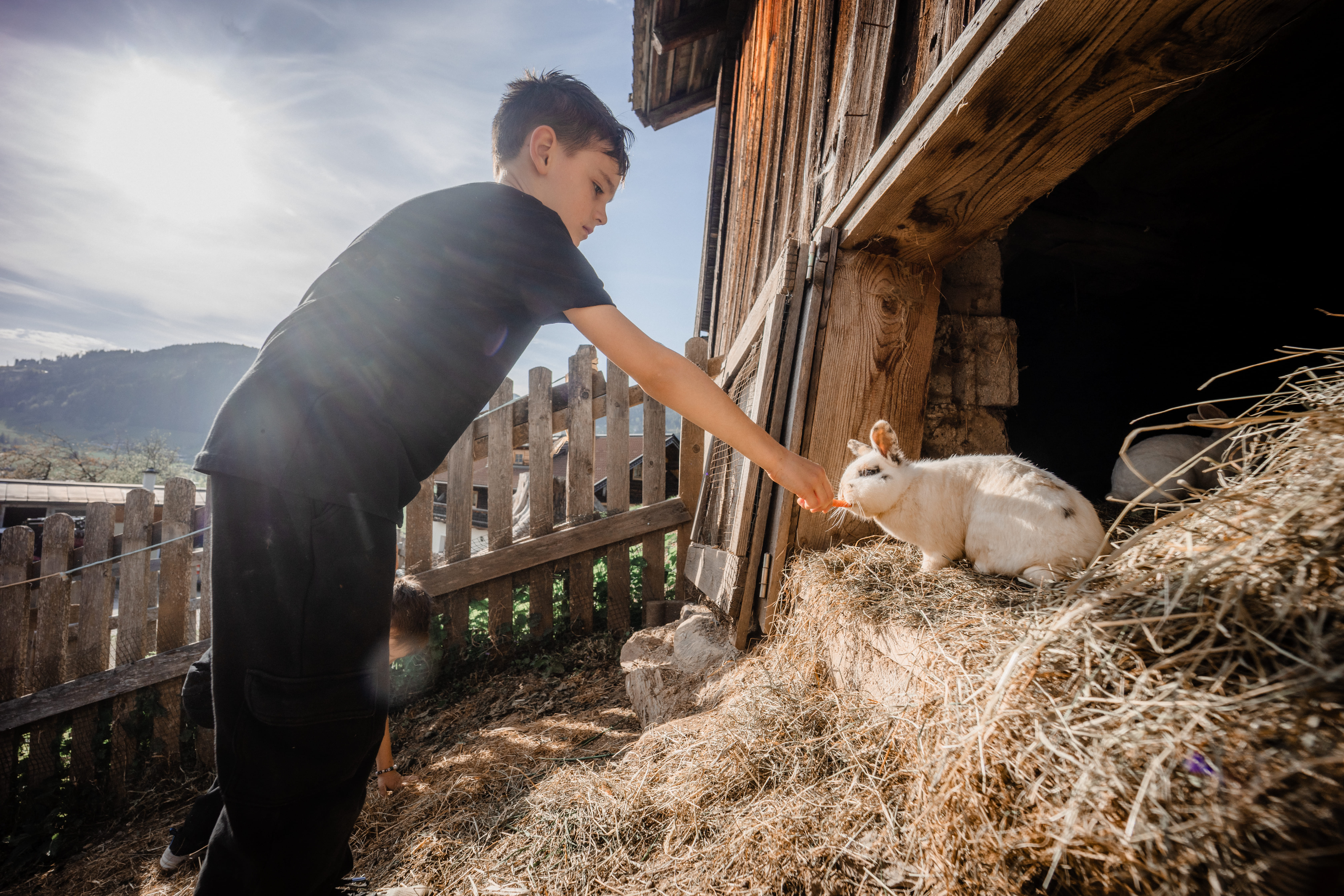Ferien Bauernhof: Steinerbauer - Urlaub am Biokinderbauernhof - Aktivitäten, Bauernhof, Tiere