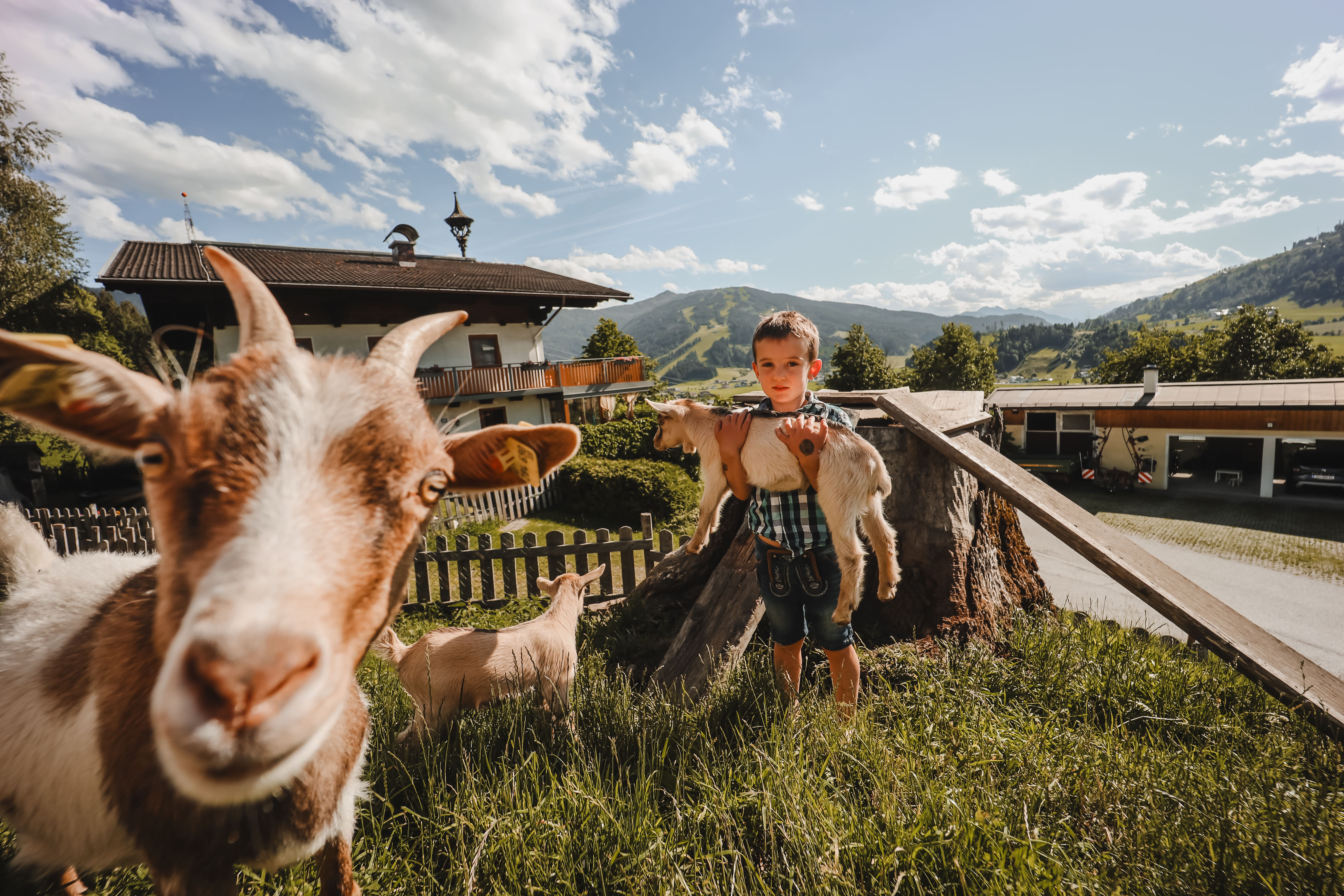 Ferien Bauernhof: Steinerbauer - Urlaub am Biokinderbauernhof - Bauernhof, Tiere