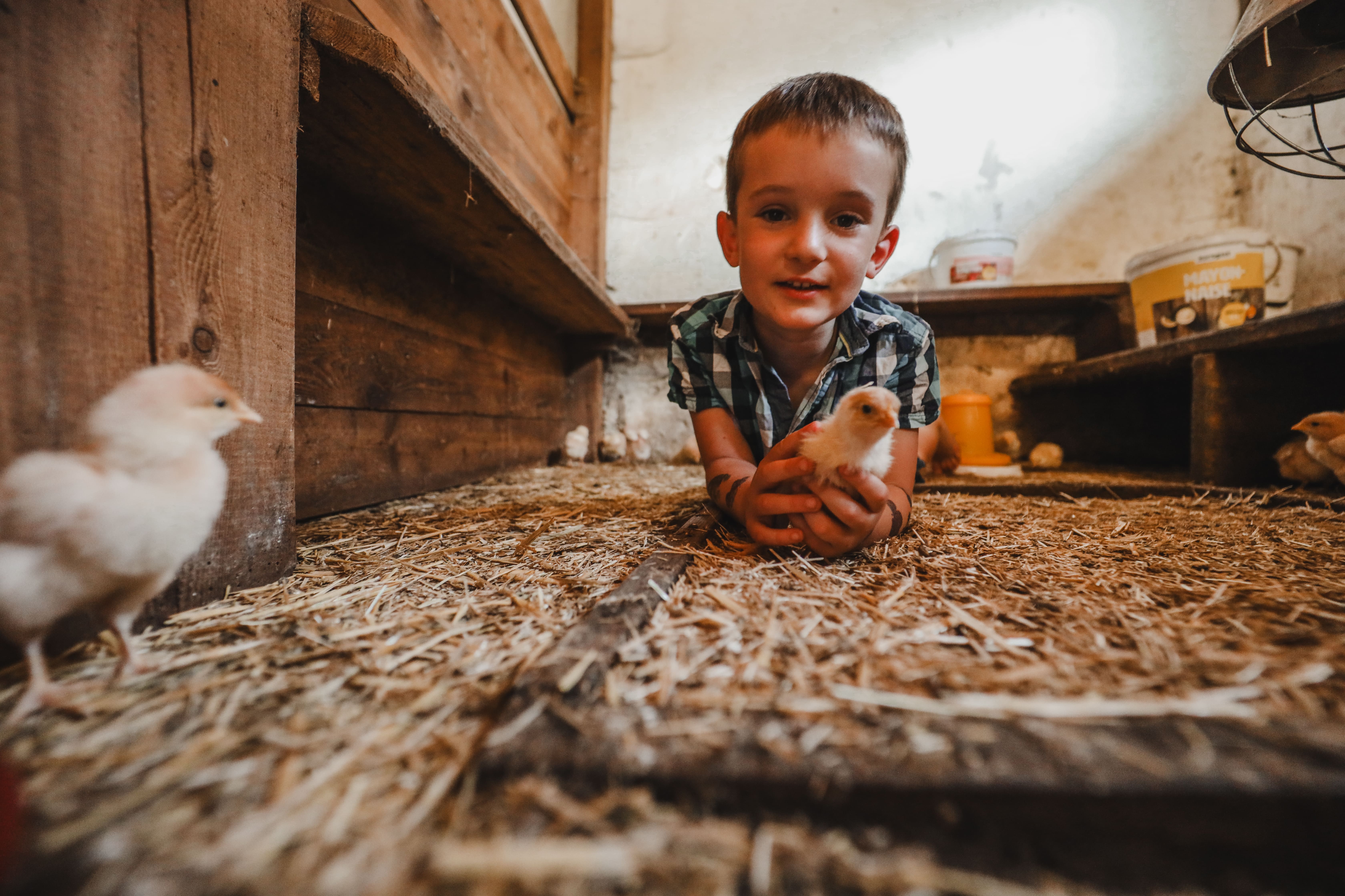 Ferien Bauernhof: Steinerbauer - Urlaub am Biokinderbauernhof
