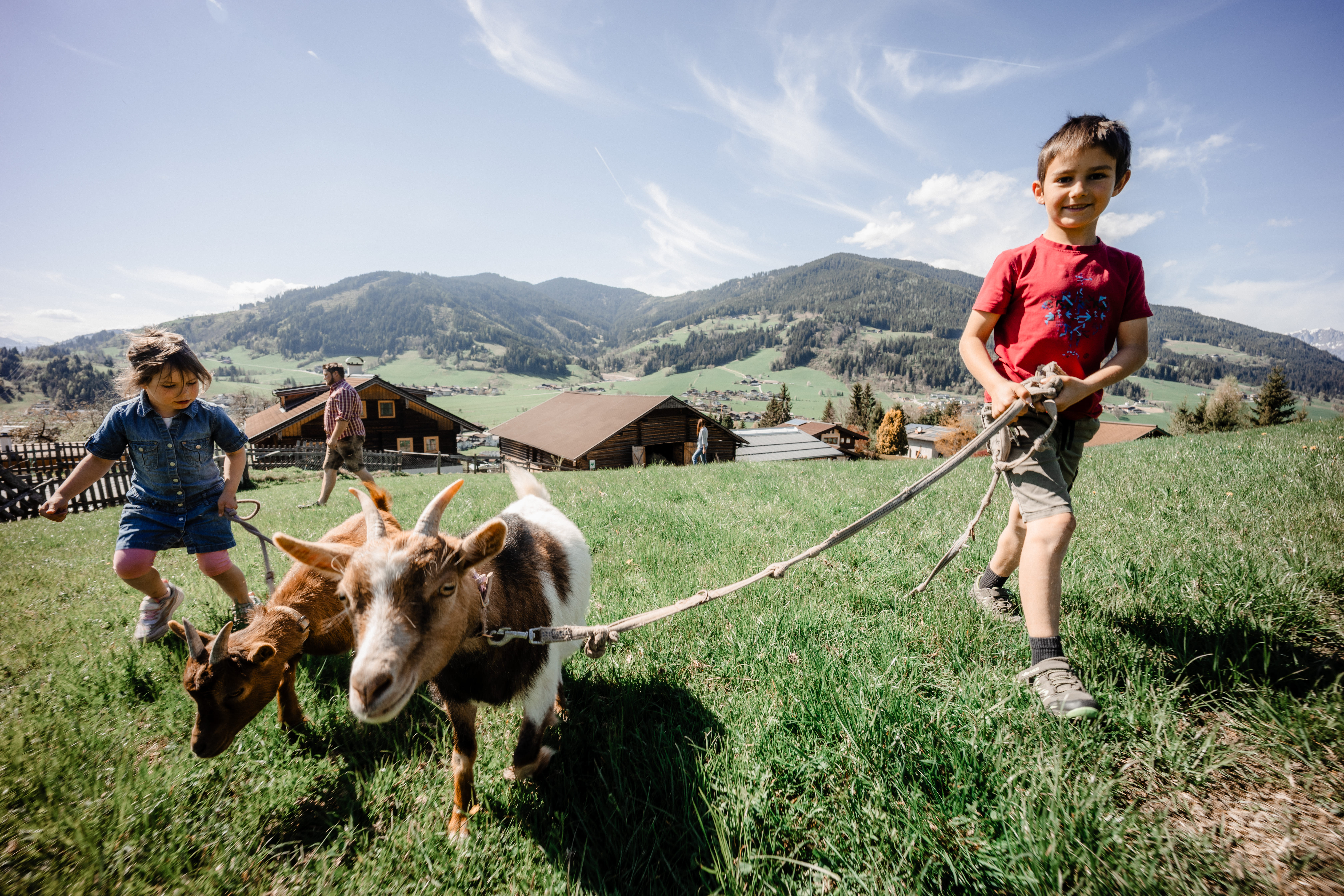 Ferien Bauernhof: Steinerbauer - Urlaub am Biokinderbauernhof - Aktivitäten, Bauernhof, Tiere