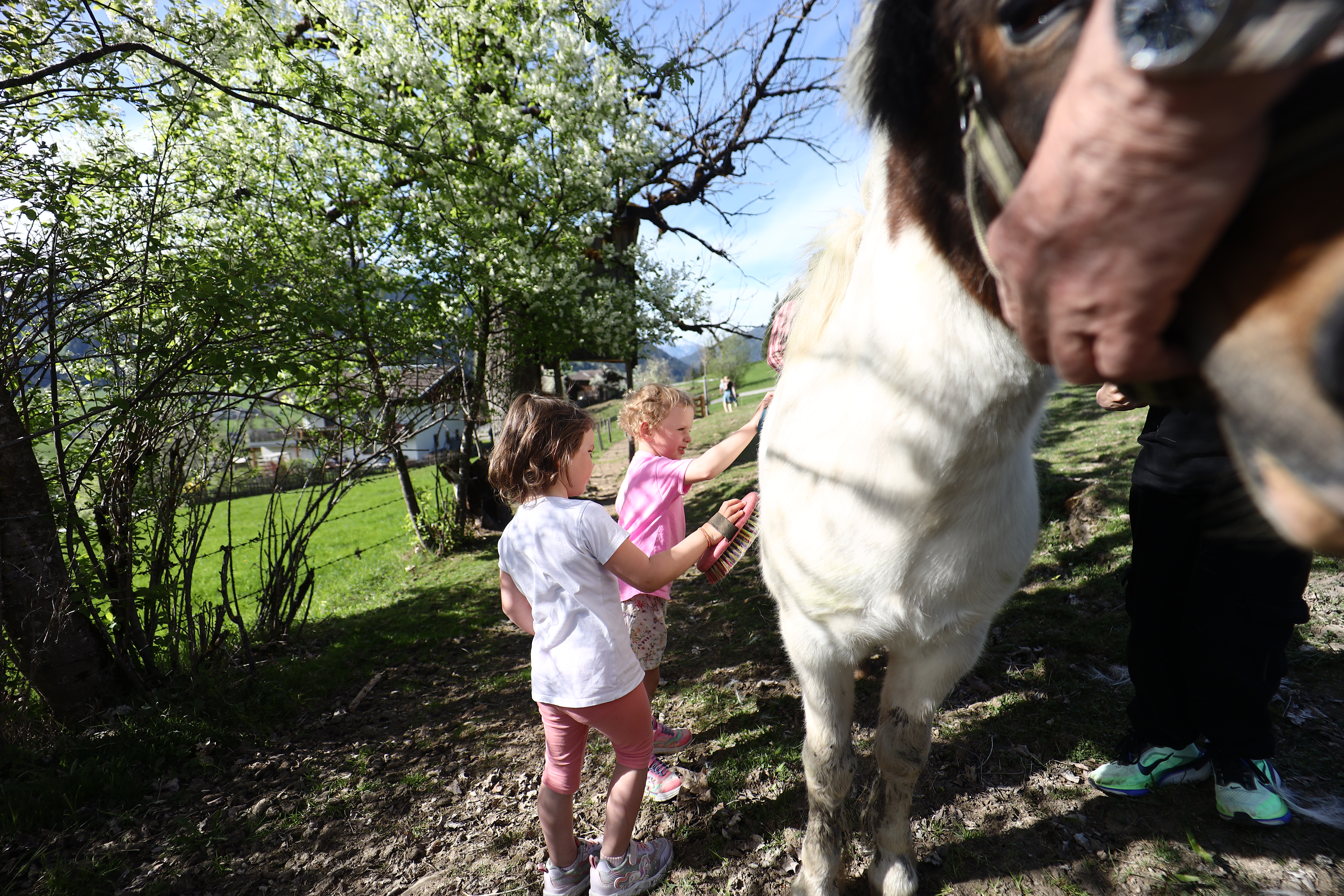 Ferien Bauernhof: Tiere pflegen - hautnah - Steinerbauer - Urlaub am Biokinderbauernhof
