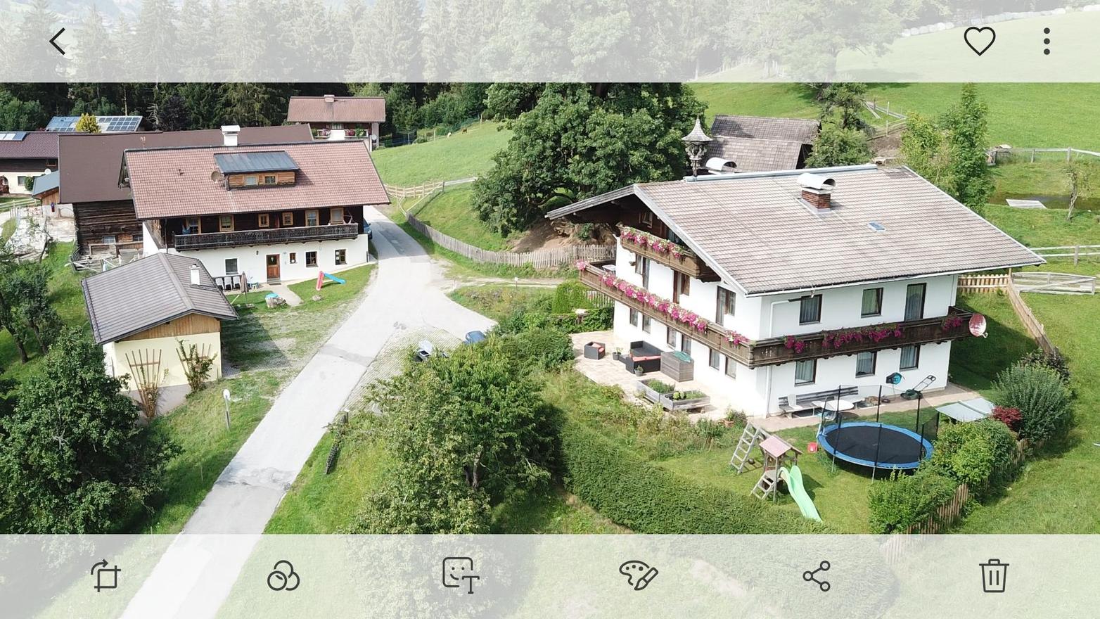 vakantie op de boerderij - Streichelzoo - Oostenrijk - Steinerbauer - Urlaub am Biokinderbauernhof