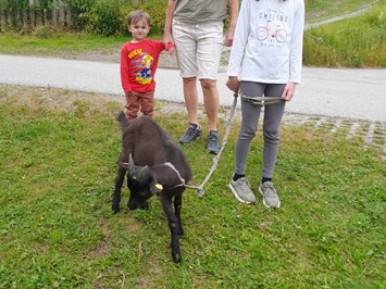 Steinerbauer - Urlaub am Biokinderbauernhof Our animals Our goats Pauli and Mecki