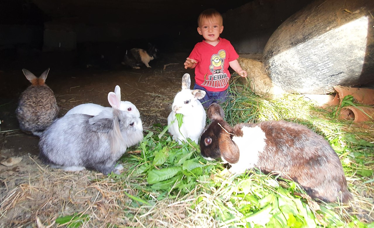 Steinerbauer - Urlaub am Biokinderbauernhof unsere Tiere Besucht unsere Kaninchen neben dem Haus!