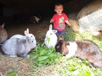 Steinerbauer - Urlaub am Biokinderbauernhof unsere Tiere Besucht unsere Kaninchen neben dem Haus!