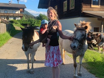 Steinerbauer - Urlaub am Biokinderbauernhof unsere Tiere Unsere Ponys sind einen Besuch wert.
