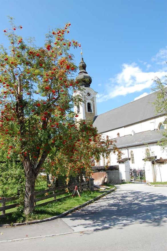 Urlaub auf dem Bauernhof - Bischofshofen - Rainer Schattauerbauer
