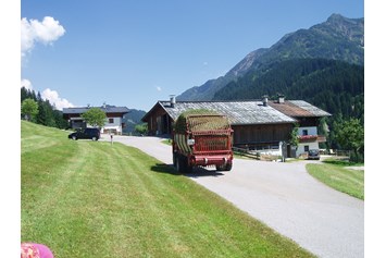 Ferien Bauernhof: Kinderbauernhof "Hinterreith"