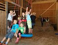 Ferien Bauernhof: Spielscheune - Kinderparadies BIO-Erlebnisbauernhof