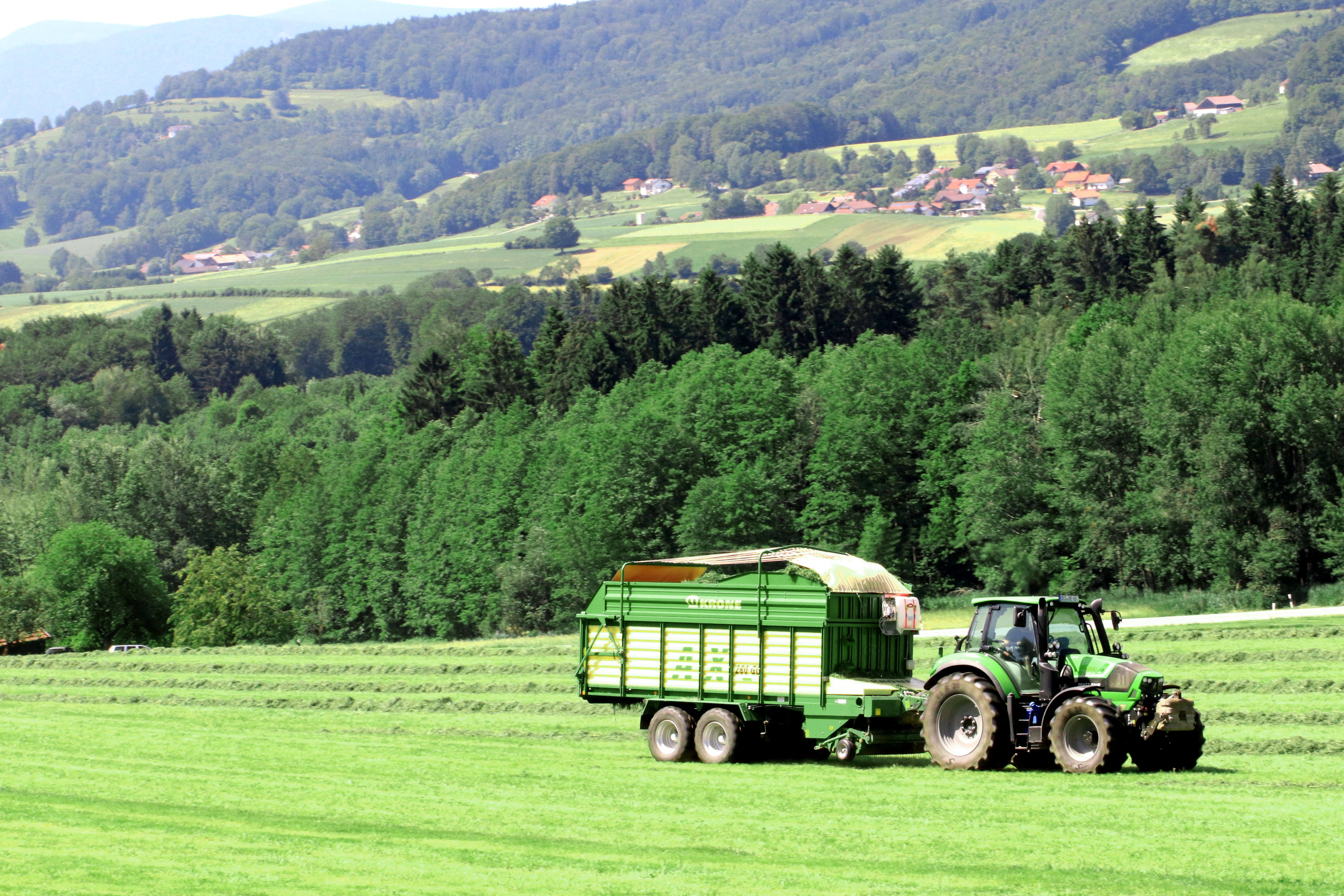 Ferien Bauernhof: Ederhof