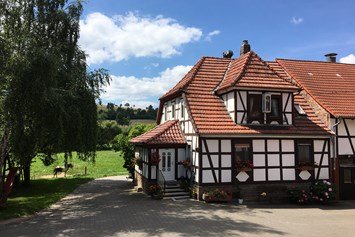 Ferien Bauernhof: Ferienhof Königsmühle
