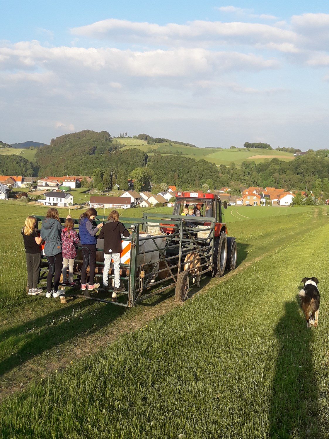 Ferien Bauernhof: Spaß beim Vieh umtreiben - Ferienhof Schmiddes