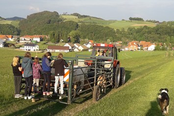 Ferien Bauernhof: Spaß beim Vieh umtreiben - Ferienhof Schmiddes
