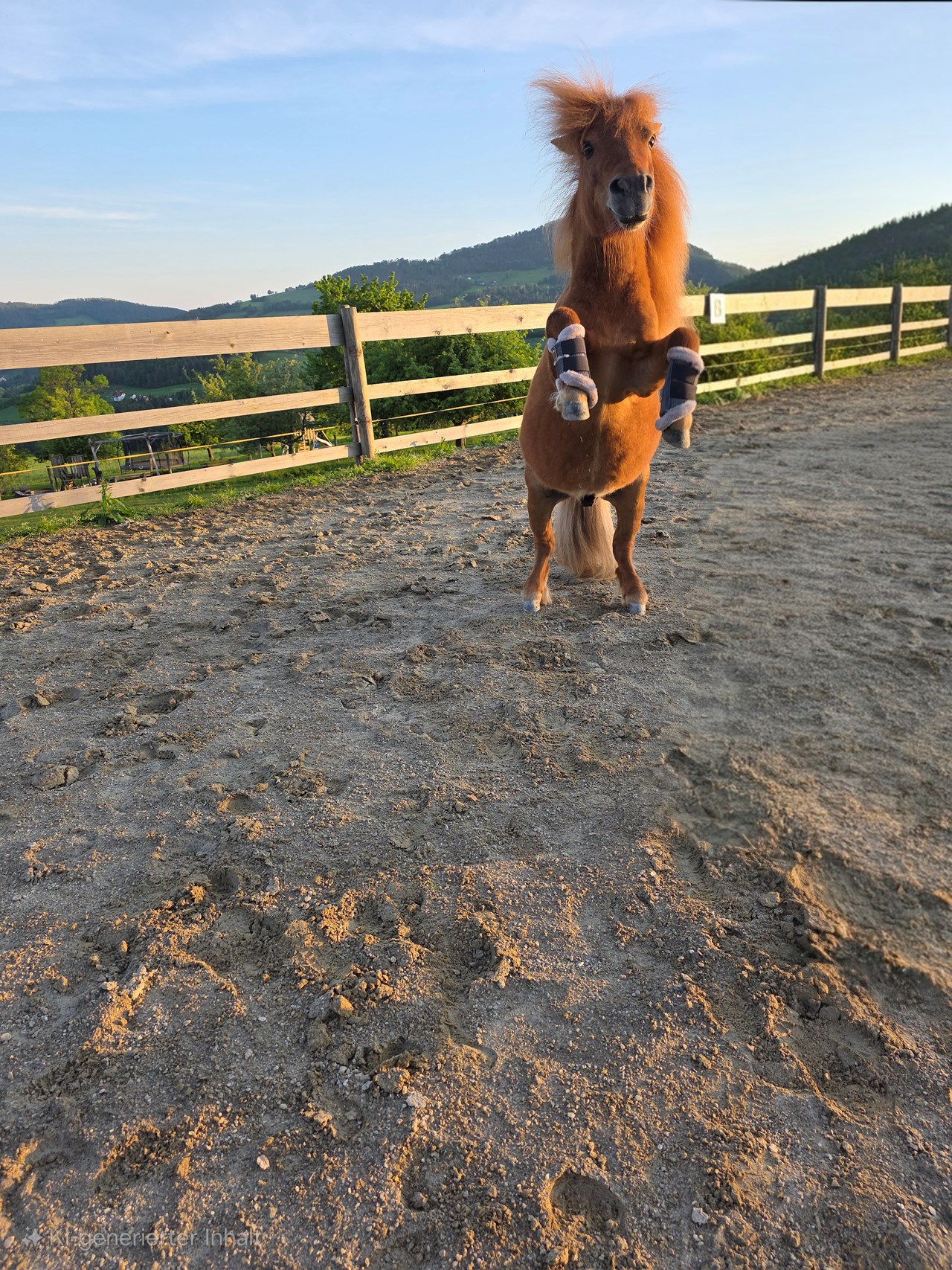 Bauernhof Rieglsteffl  Onze dieren 