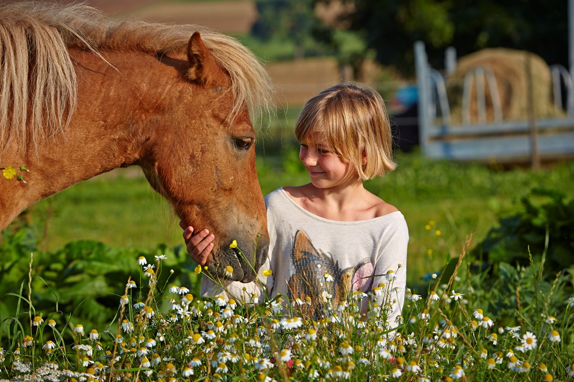 Ferien Bauernhof: Glückliche Pferde - Glückliche Menschen ist unsere Begeisterung - Urlaubsreiterhof Trunk