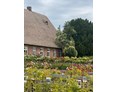Ferien Bauernhof: Hausdeich 180, Blick vom Rosenhof - Hausdeich 180