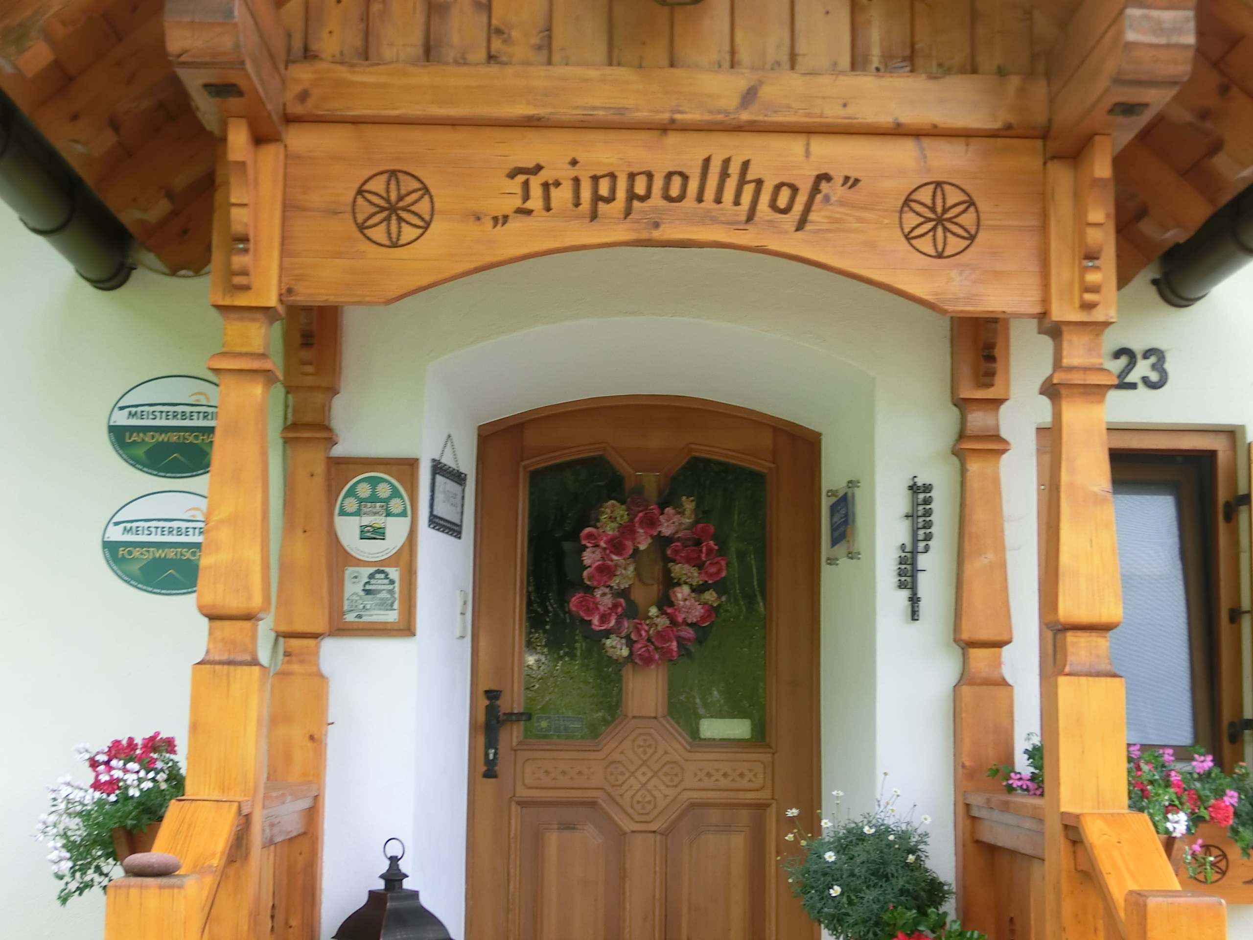 vakantie op de boerderij - Schwimmen - Herzlich willkommen am Trippolthof! - TRIPPOLTHOF - Urlaub am Bauernhof