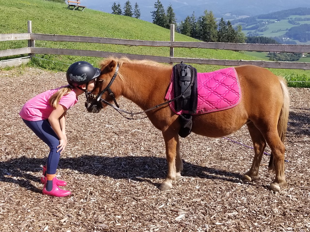 TRIPPOLTHOF - Urlaub am Bauernhof unsere Tiere SchmusePony Bella