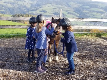 TRIPPOLTHOF - Urlaub am Bauernhof Our animals Cuddly pony Dixie