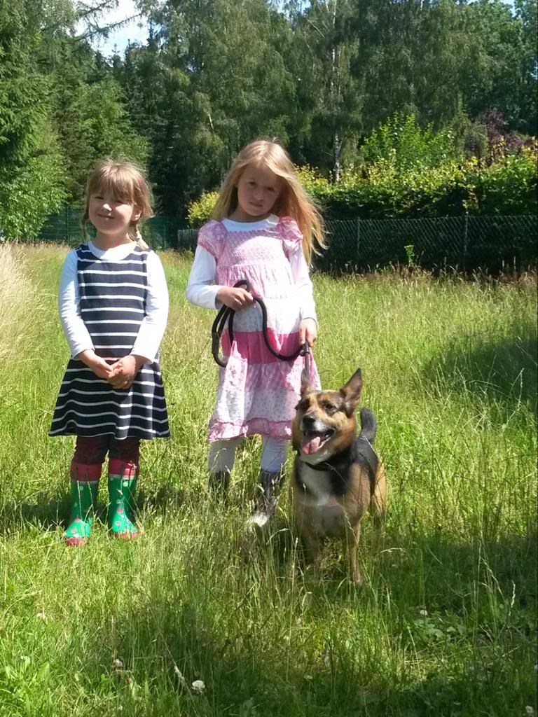 Der Eichenhof unsere Tiere Aika