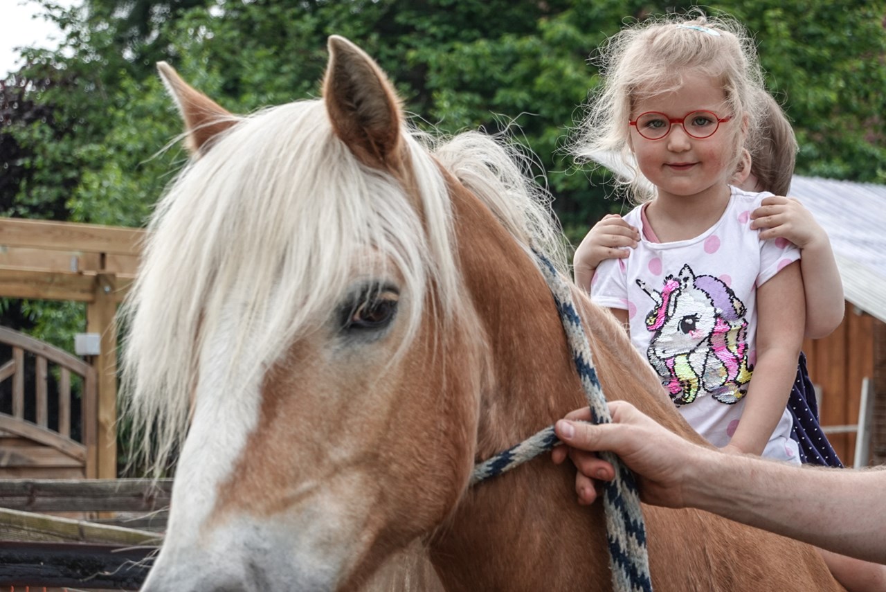 Der Eichenhof unsere Tiere Armani