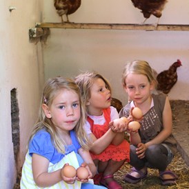 Ferien Bauernhof: Eier sammeln - Der Eichenhof