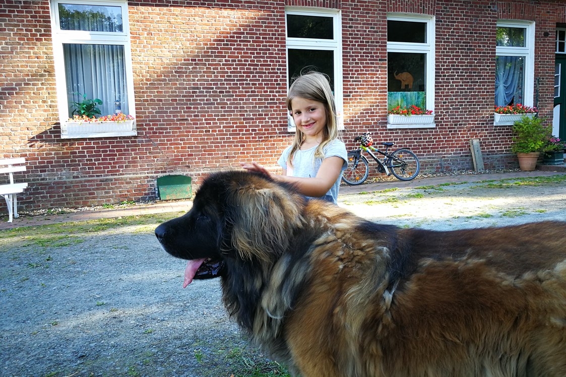 Ferien Bauernhof: keine Angst vor großen Hunden - Ferienhof Anke Hess