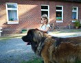 Ferien Bauernhof: keine Angst vor großen Hunden - Ferienhof Anke Hess