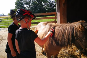 Ferien Bauernhof: Pferde striegeln und reiten - Ferienhof Anke Hess