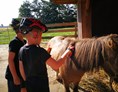 Ferien Bauernhof: Pferde striegeln und reiten - Ferienhof Anke Hess