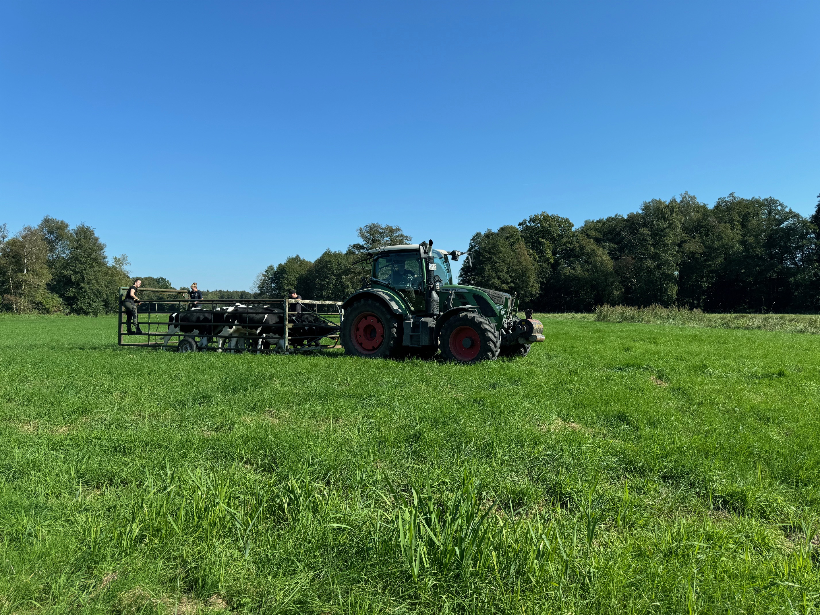 Ferien Bauernhof: Ferienhof-Knoop