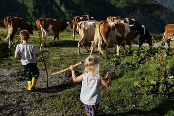 Ferien Bauernhof: Tofererhof
