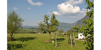 Urlaub auf dem Bauernhof - Tiere am Hof: Kühe - Ziegelstadl (Weißenkirchen im Attergau) - Attwengerhof