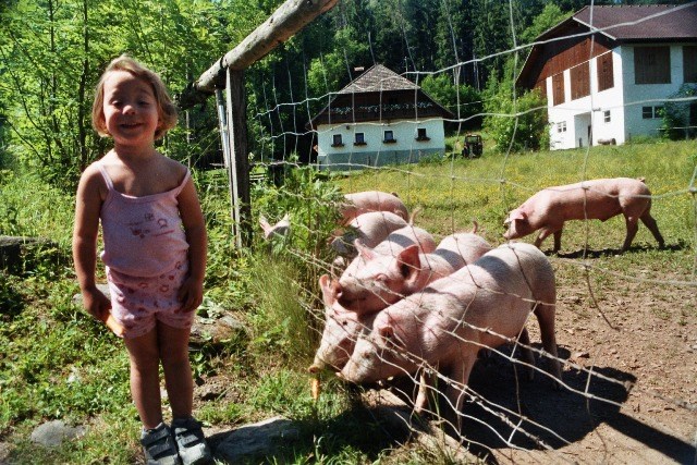 Ferien am Talhof Our animals Our piggies