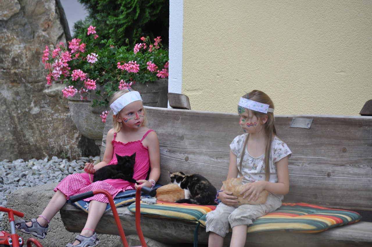 Ferien am Talhof Our animals kitten
