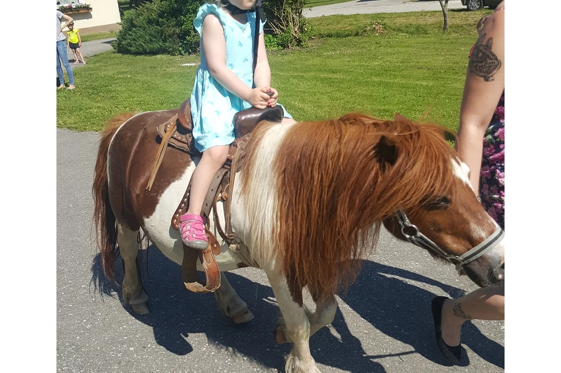 Ferien Bauernhof: Ponyreiten - Ferien am Talhof