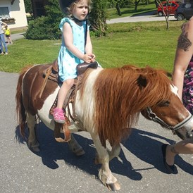 Ferien Bauernhof: Ponyreiten - Ferien am Talhof