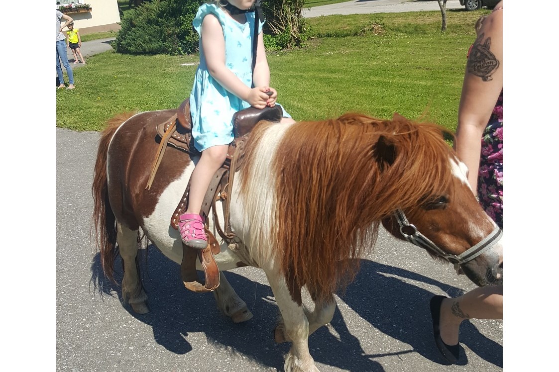 Ferien Bauernhof: Ponyreiten - Ferien am Talhof