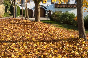 Ferien Bauernhof: Herbststimmung - Eselgut  mit  Donautraumblick