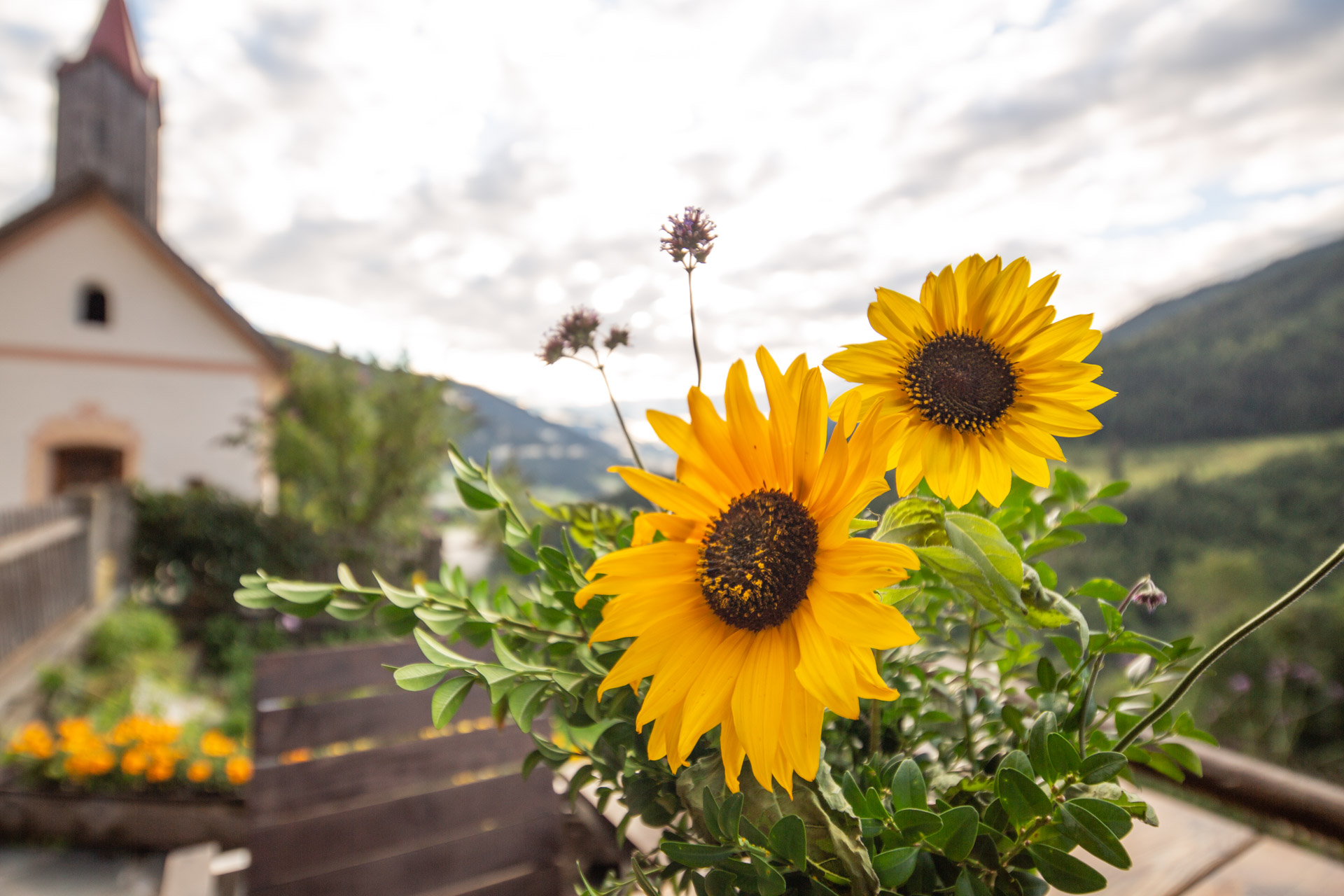 Ferien Bauernhof: Familienwanderhof Eggeler