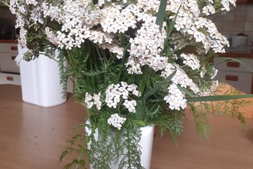 Ferien Bauernhof: ein selbst gepflückter Blumenstrauß sorgt für ein frohes Gemüht am Matzilerhof - Matzilerhof