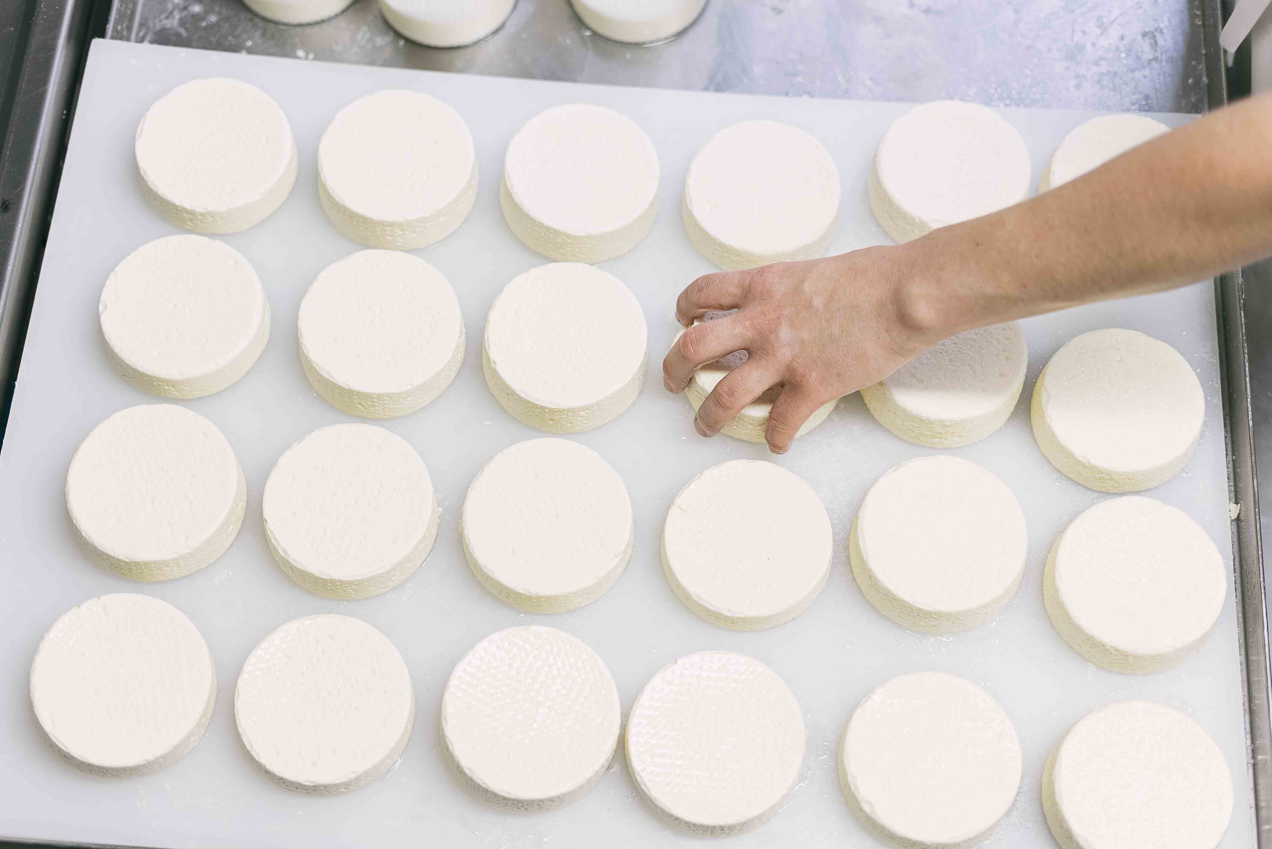 Ferien Bauernhof: Camembert, Weichkäse mit Kräutern, Heublumenkäse, Mozzarella, versch. Käsebällchen, Topfenvariationen, Glundner, Natur- und Vanillejoghurt,... - Bio- und Vitalbauernhof Bacherhof - Dejavnosti, Kmečko dvorišče, Kulinarika