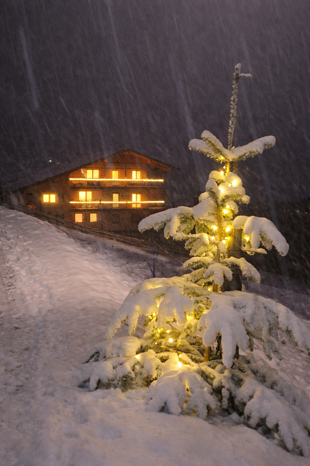 Ferien Bauernhof: Winter am Bacherhof - Bio- und Vitalbauernhof Bacherhof - Kmečko dvorišče, pozimi, Zunanji prostor
