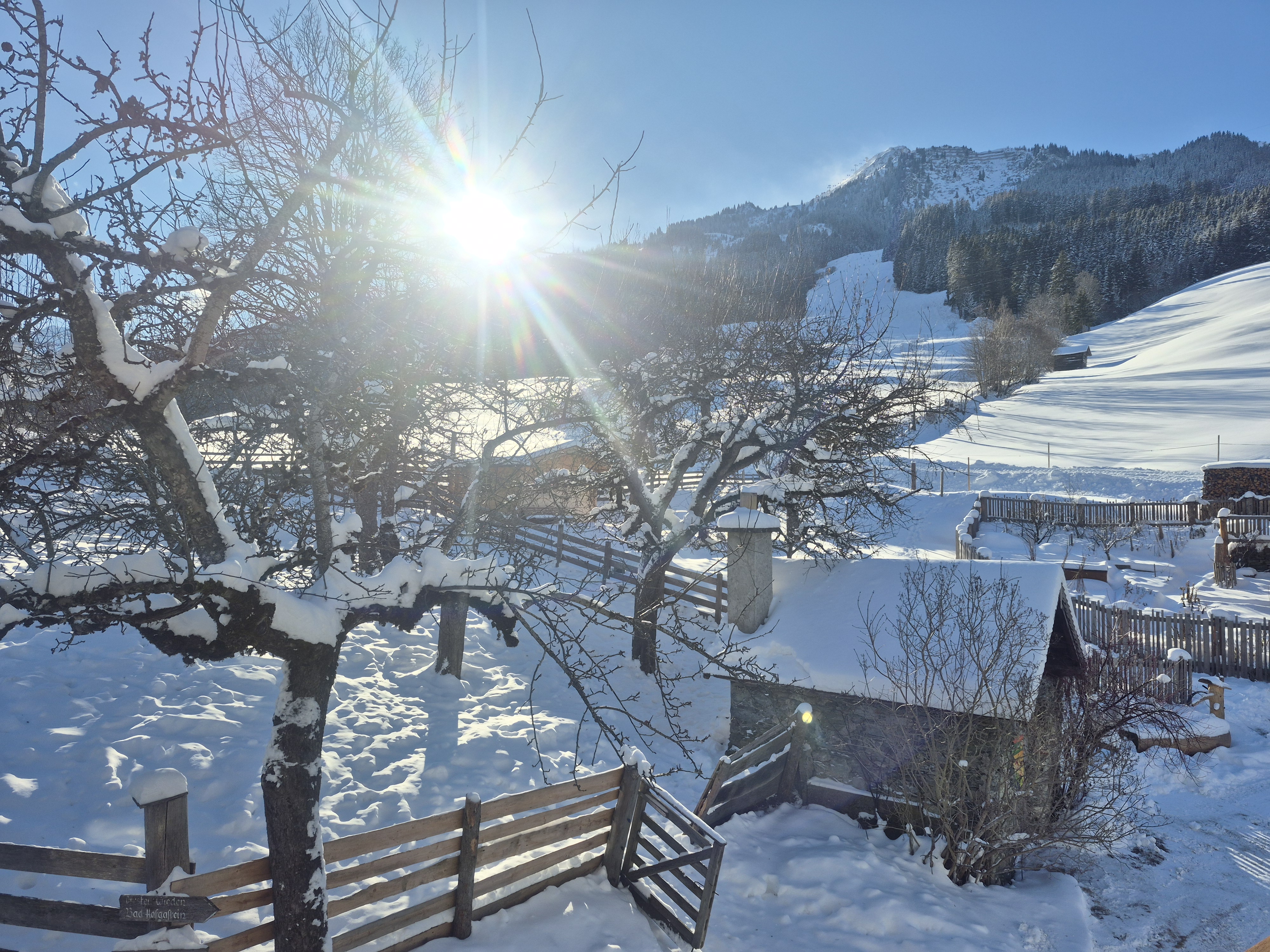 Ferien Bauernhof: Skipiste zu Fuß erreichbar - Biohof Maurachgut - Außenbereich, Bauernhof, Winter