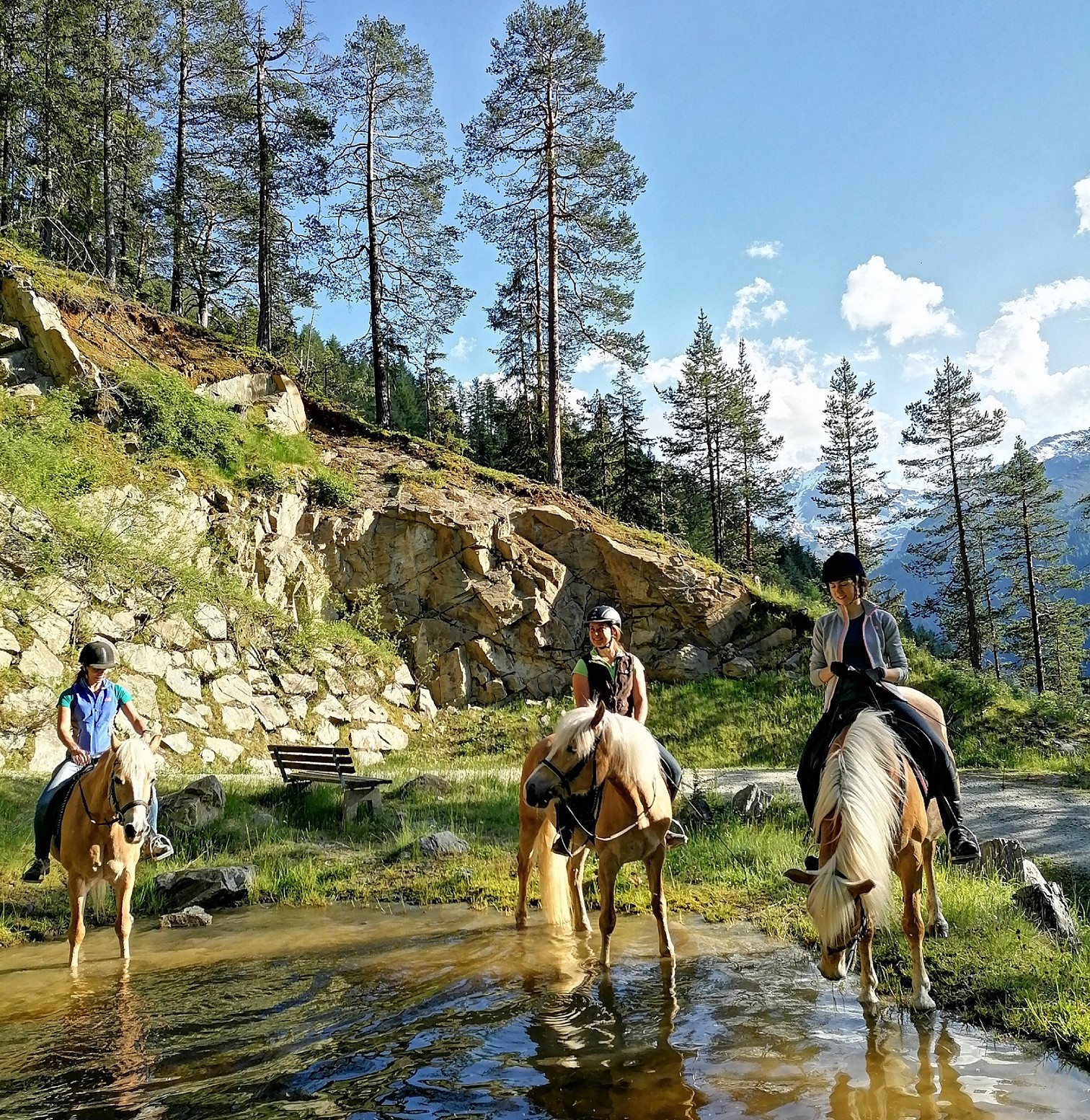 odmor na imanju - Bio und Reiterhof der Veitenhof Reiterferien in Tirol