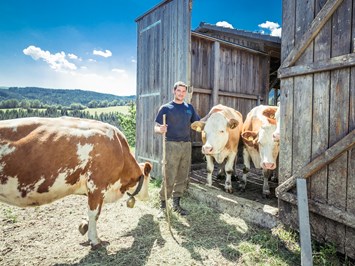 BIO - Hotel - Alpengasthof Koralpenblick unsere Tiere Rinder